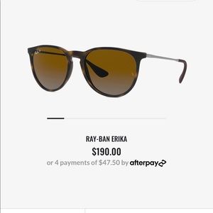 Ray-Ban Erika RB4171 Polarized Sunglasses